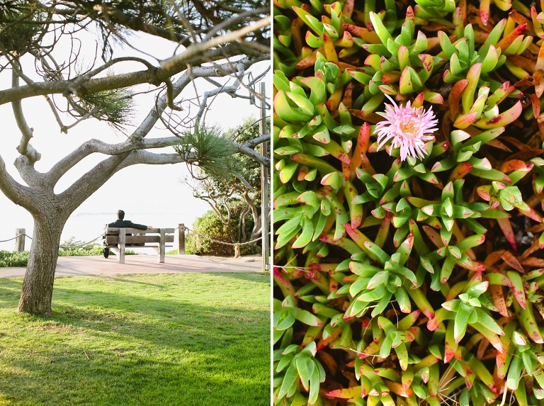 Seagrove Park Maternity Shoot Liz & Ernie