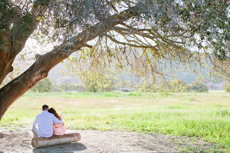 2014_Caroline_and_James_Engagement-047