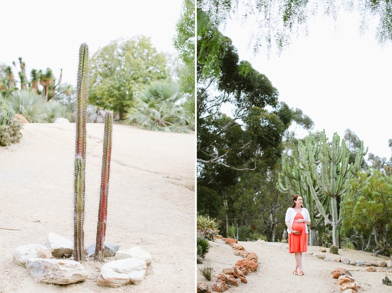 2014_Susan_Maternity_Shoot_San_Diego-003