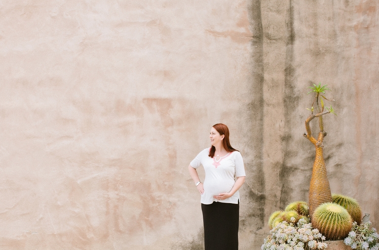 2014_Susan_Maternity_Shoot_San_Diego-108
