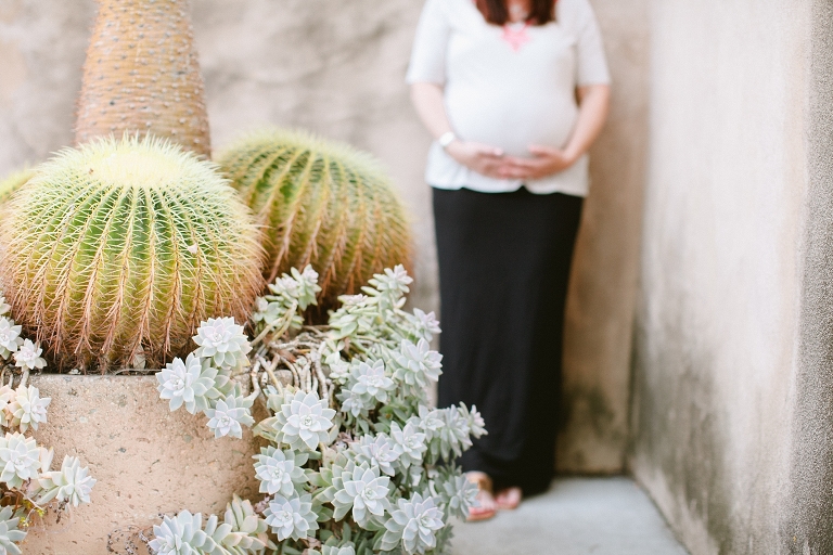 2014_Susan_Maternity_Shoot_San_Diego-127