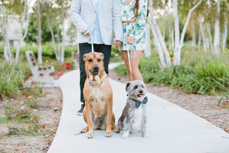 2014_Phuong_and_Stephen_Engagement_Shoot_orange_county-044