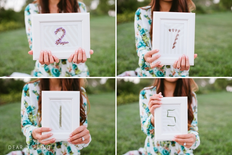 2014_Phuong_and_Stephen_Engagement_Shoot_orange_county-127