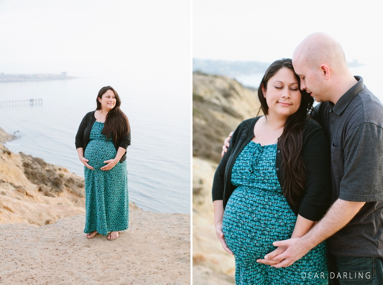 2014_Baby_Shepherd_Maternity-122