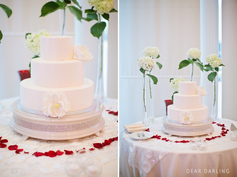 2015_SS_Wedding_The_Dana_Mission_reception-015