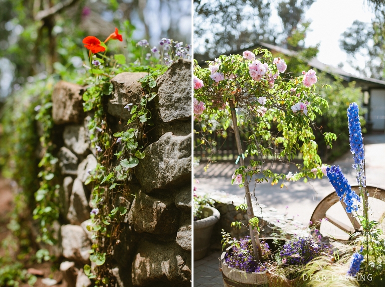 2015 Quail Haven Wedding Jake and Karen -012
