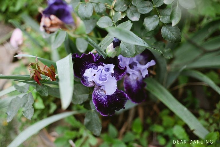 2015 Quail Haven Wedding Jake and Karen -059