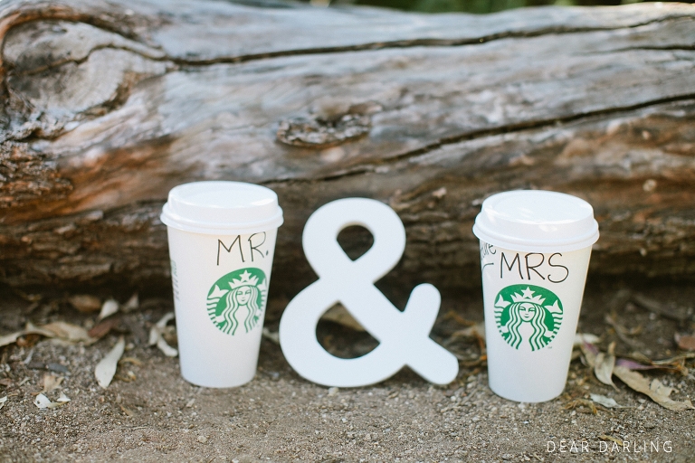 Chris and Chrissy San Diego Engagement Shoot-148