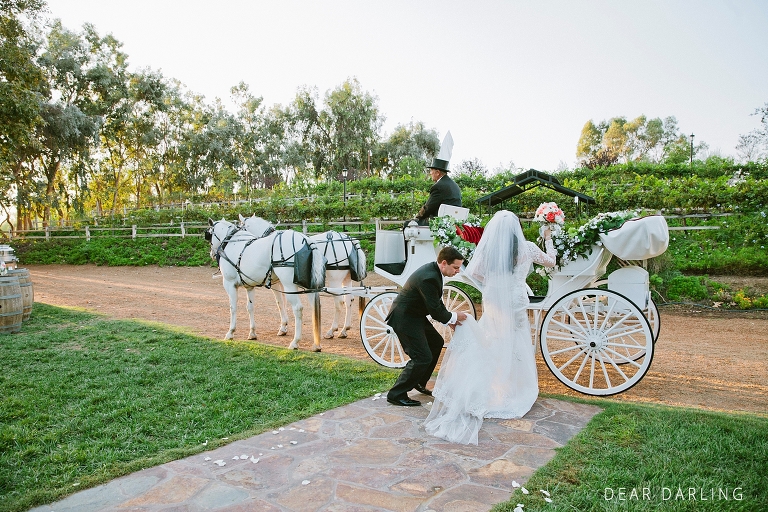 Chris and Chrissy Wedding-641