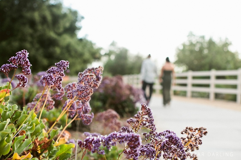 Denise & Angelo Orange County Engagement Shoot-199