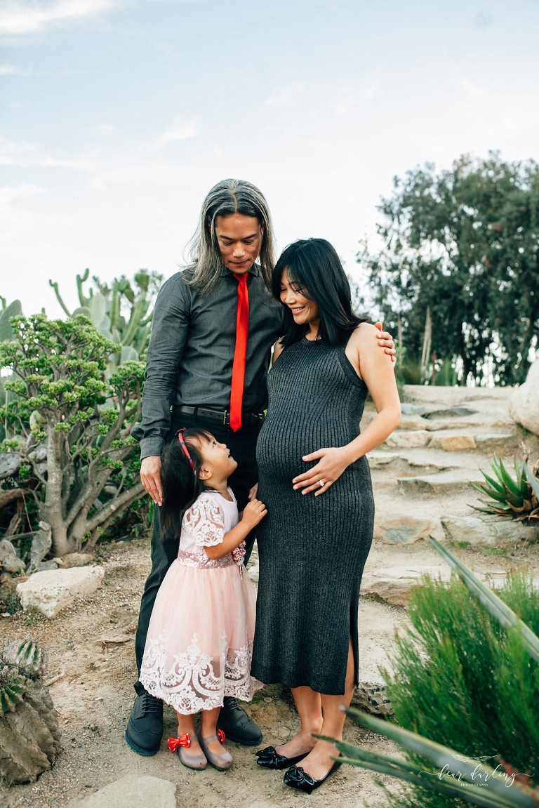 Balboa Park Cactus Garden