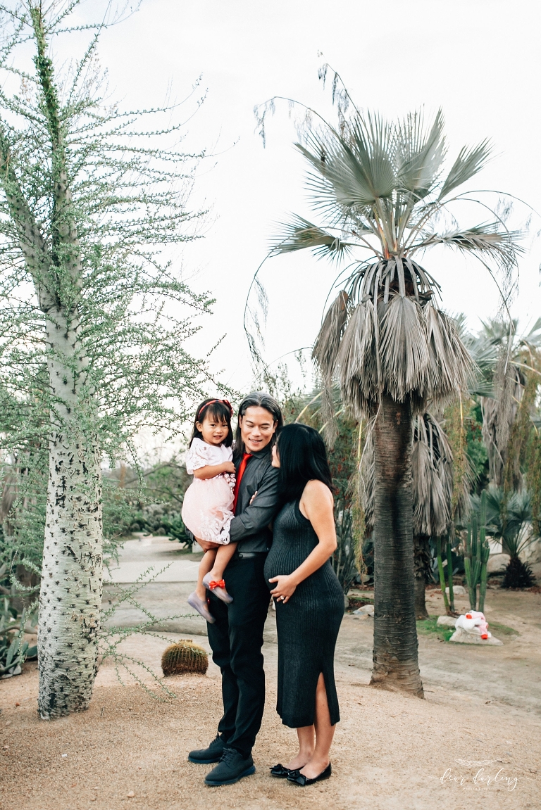 Balboa Park Cactus Garden