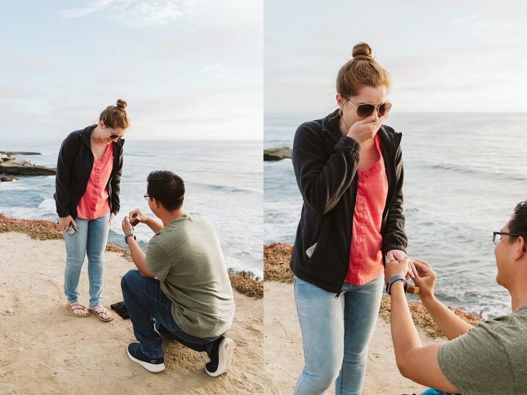 San Diego Surprise Proposal