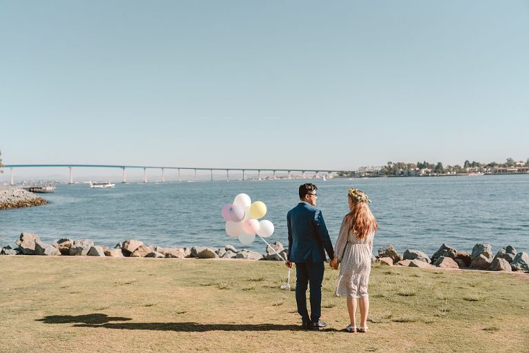 coronado bridge view