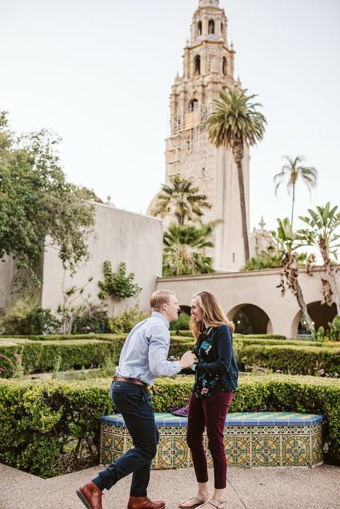 Balboa Park Surprise Proposal