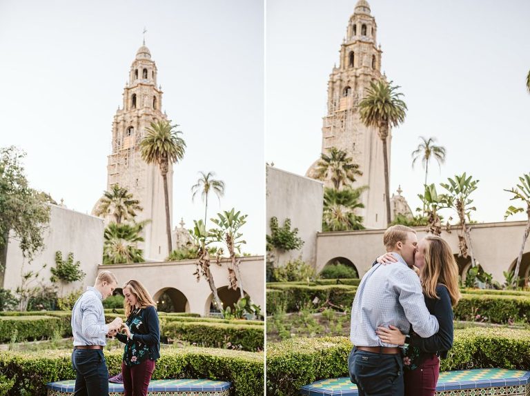 Balboa Park Surprise Proposal