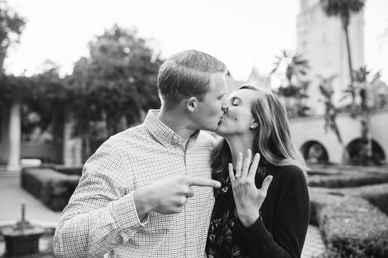 Balboa Park Surprise Proposal