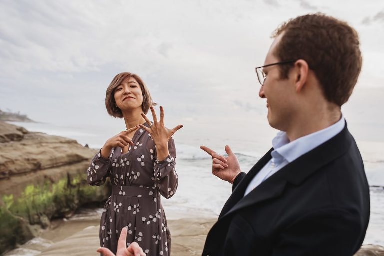 La Jolla Surprise Proposal