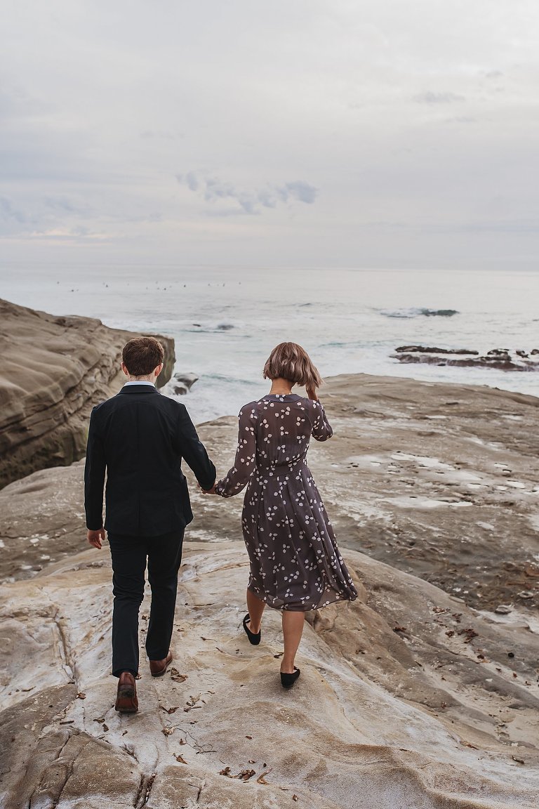 La Jolla Surprise Proposal