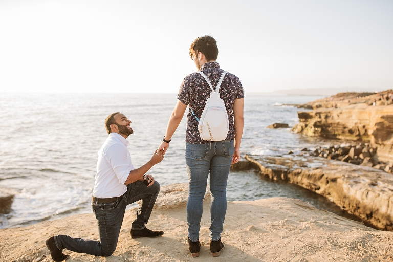 San Diego Surprise Proposal Photoshotographer