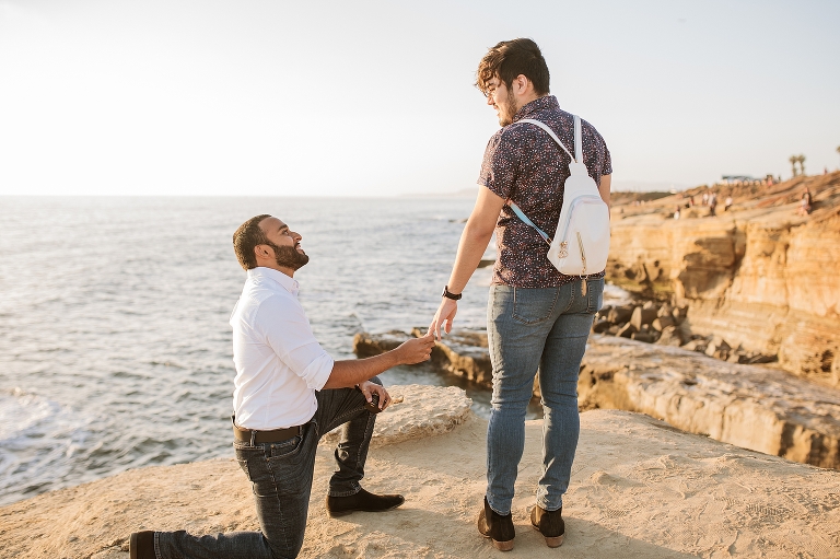 San Diego Surprise Proposal Photoshotographer