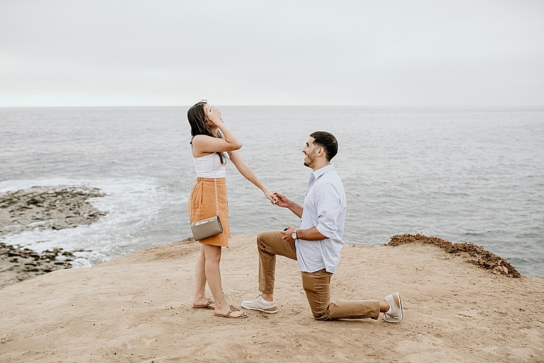 San Diego Surprise Proposal Photoshotographer