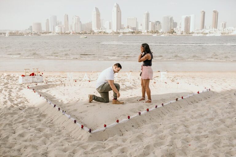 San Diego Surprise Proposal Photographer
