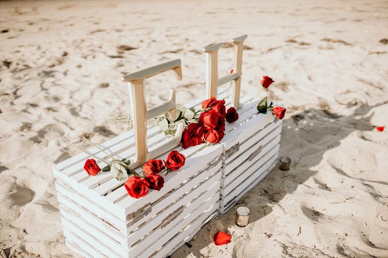 Coronado Beach Engagement Photoshoot