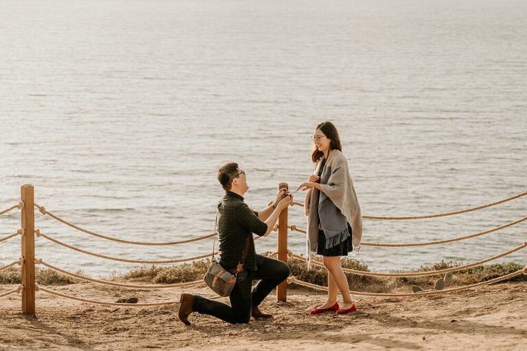 La Jolla Surprise Proposal