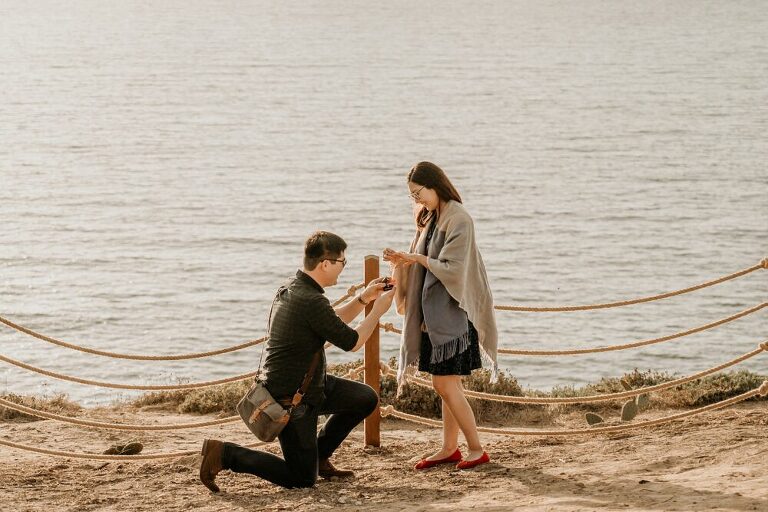 La Jolla Surprise Proposal