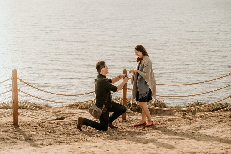 La Jolla Surprise Proposal