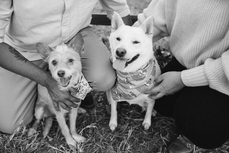 San Diego Outdoor Family Photoshoot