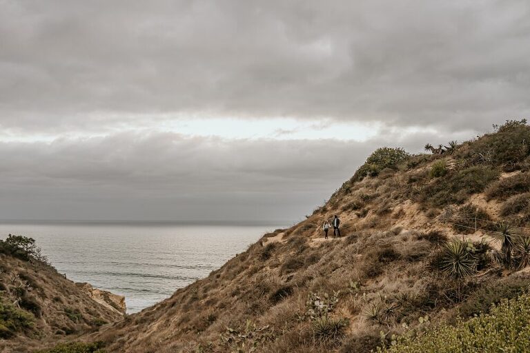 Torrey Pines Proposal Photoshoot