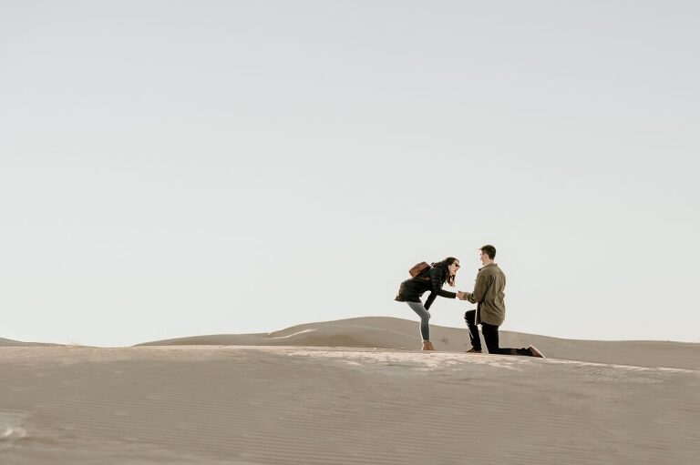 Algodone Dunes Proposal