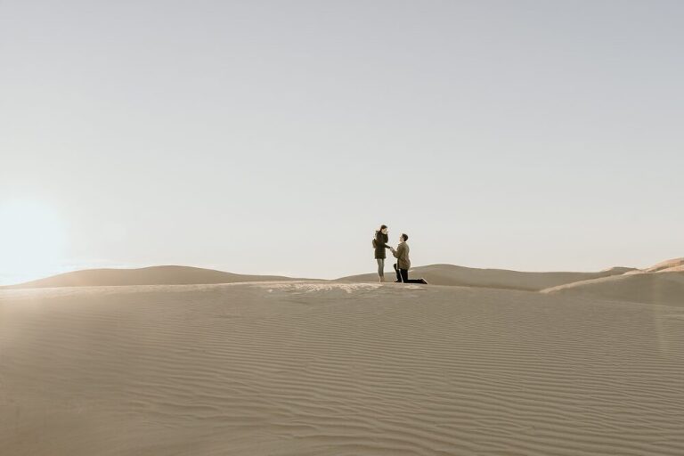 Algodone Dunes Proposal