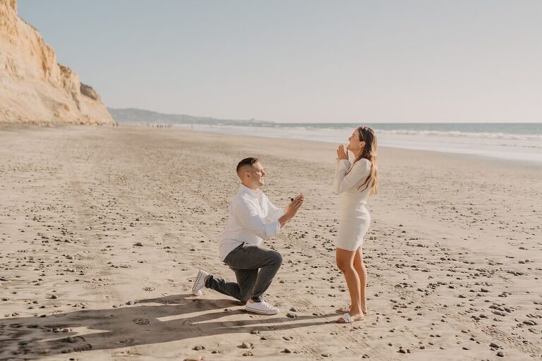 Surprise Proposal San Diego
