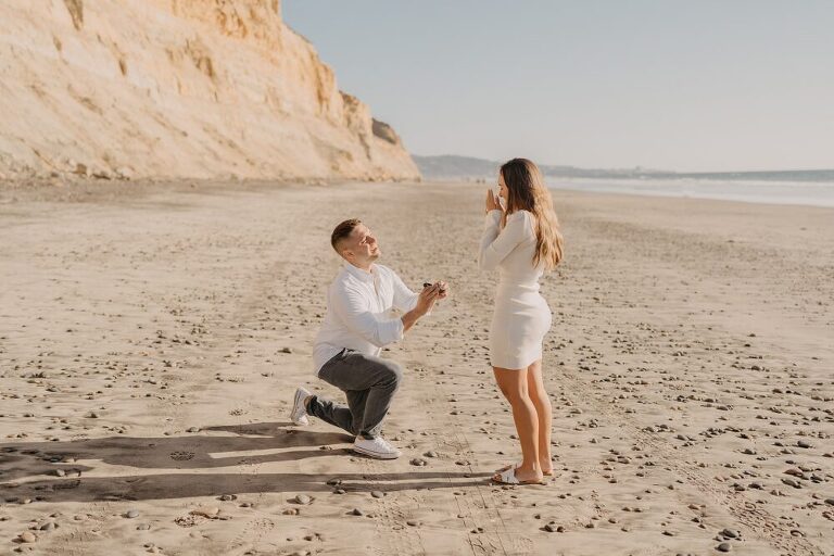 Torrey Pines Beach san Diego 