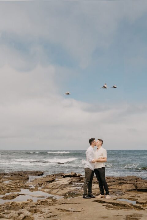 La Jolla Surprise Proposal