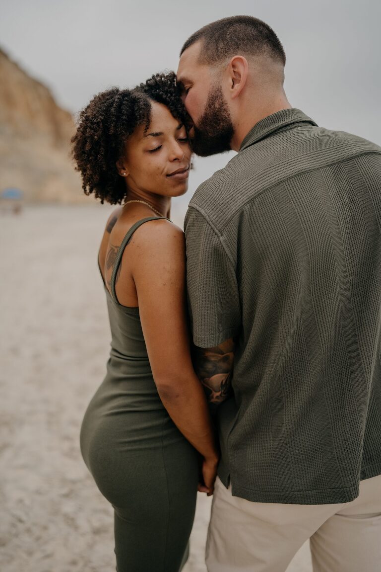 Torrey Pines Beach Proposal